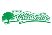 villaverde logo